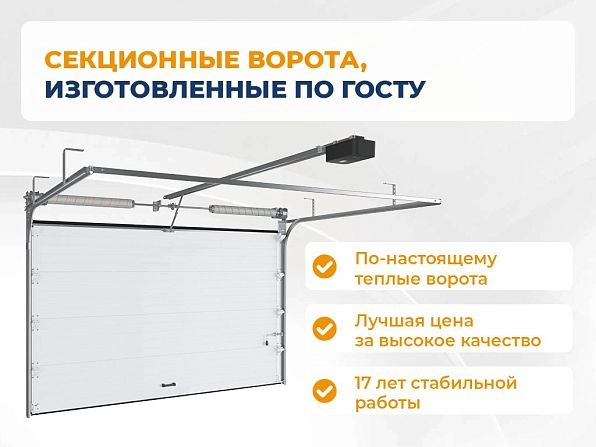 Секционные ворота 2500х2050 мм белые DoorHan RSD02, cheboksary.doorhan.ru
